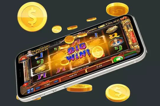 317 bet 317 bet